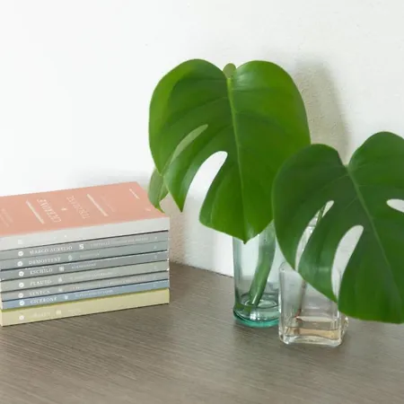 شقة La Casa Sul Mare كالا ليبيروتو