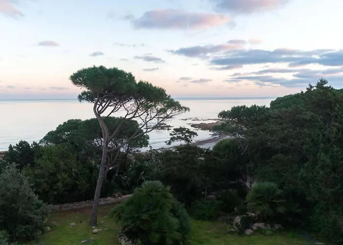 公寓 La Casa Sul Mare 卡拉·利贝罗托