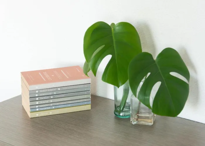 公寓 La Casa Sul Mare 卡拉·利贝罗托